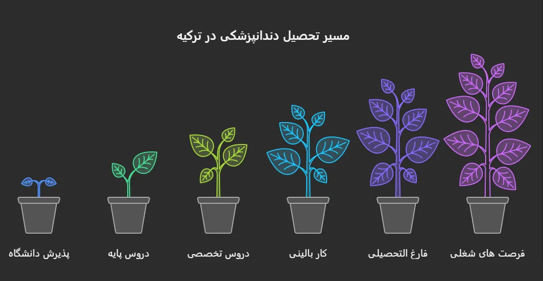 مسیر تحصیلی دندانپزشکی در ترکیه