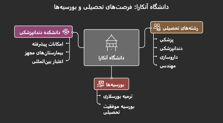 دانشگاه آنکارا ترکیه