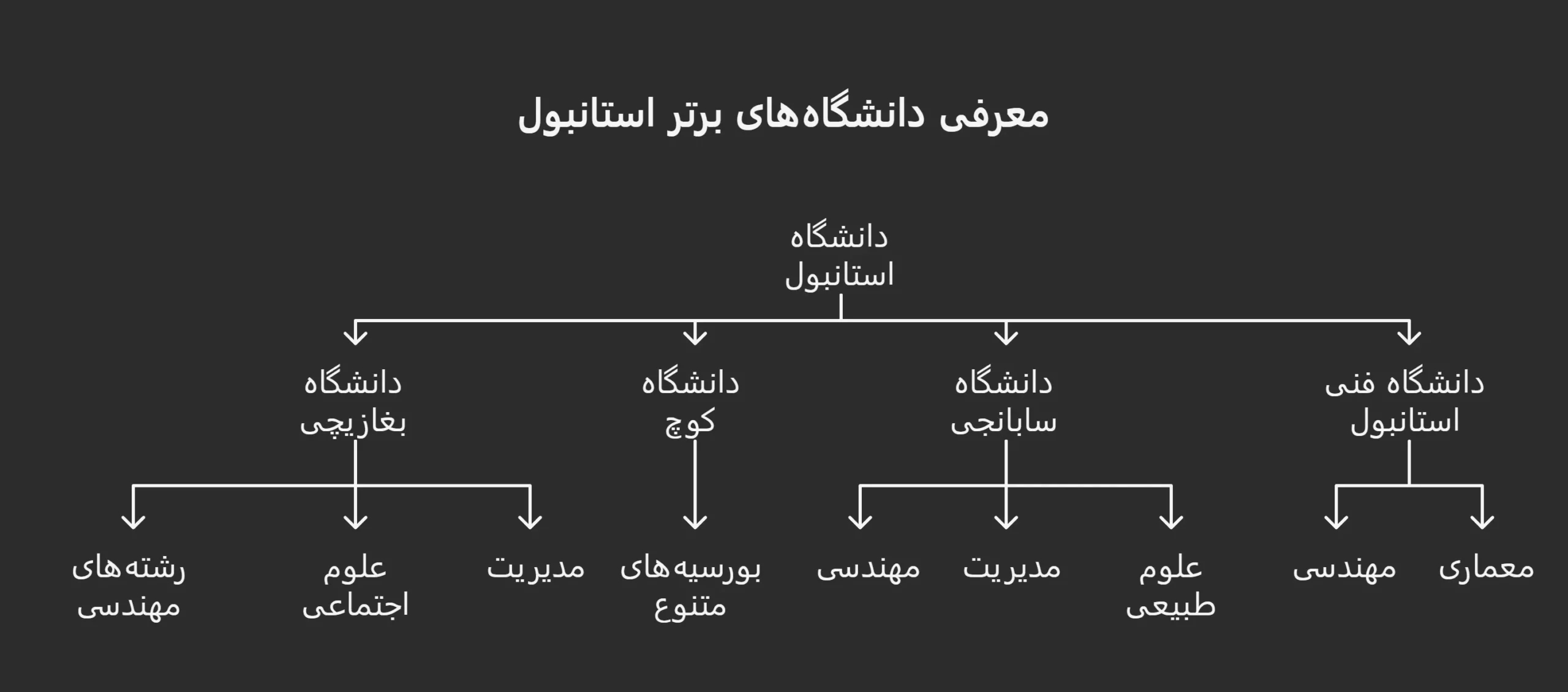 بهترین دانشگاه استانبول