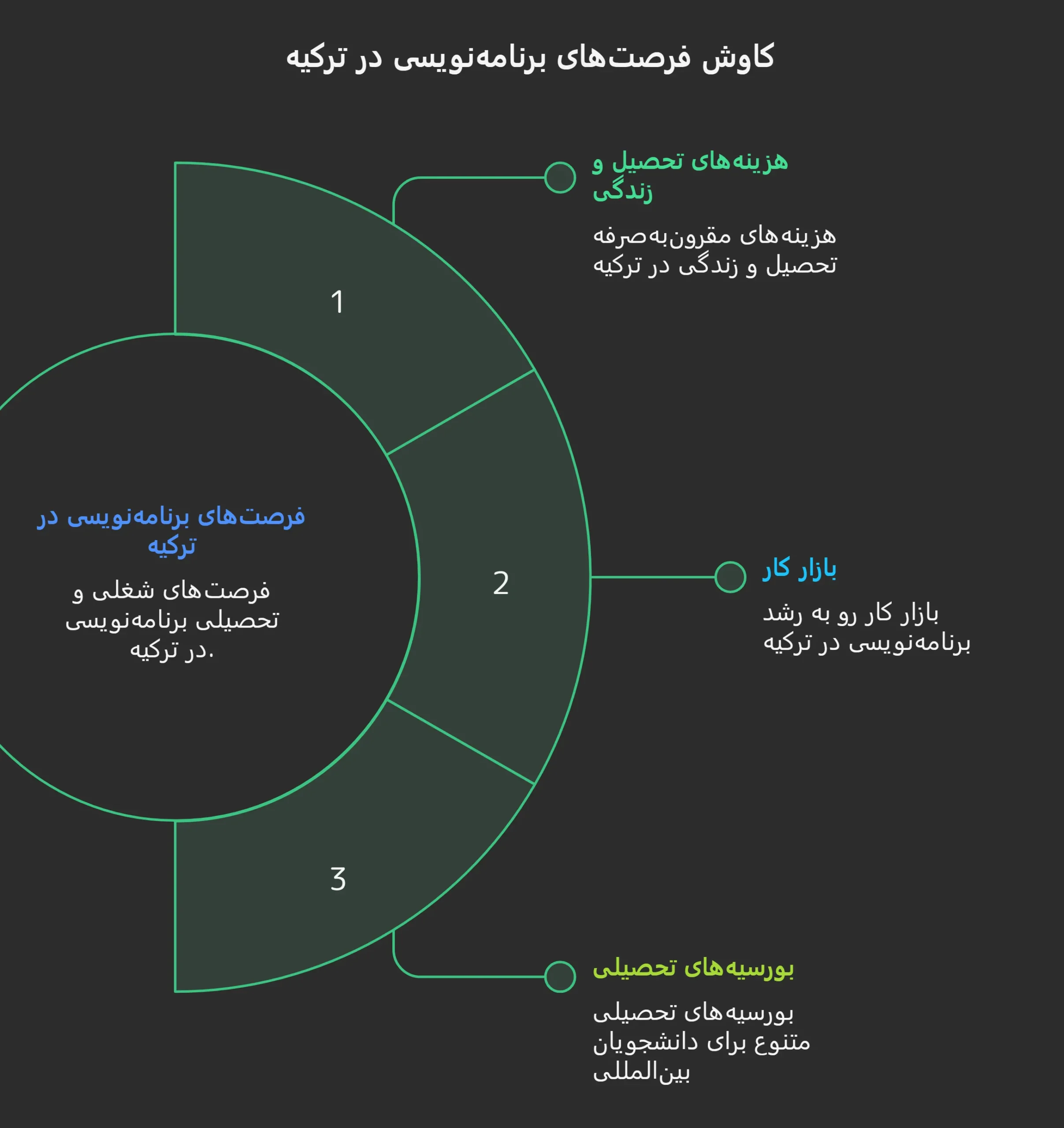 رشته برنامه نویسی ترکیه