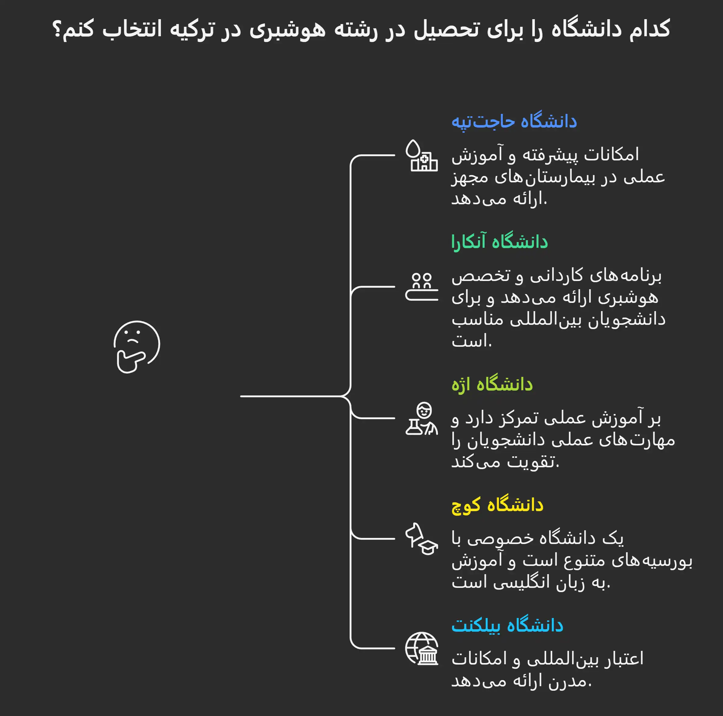 بهترین دانشگاههای رشته هوشبری در ترکیه