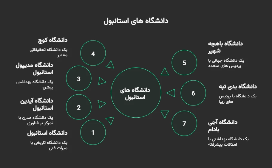 دانشگاه دولتی استانبول ترکیه