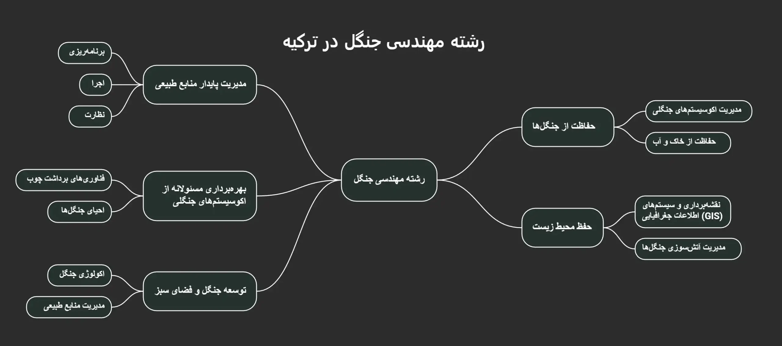 رشته مهندسی جنگل در ترکیه