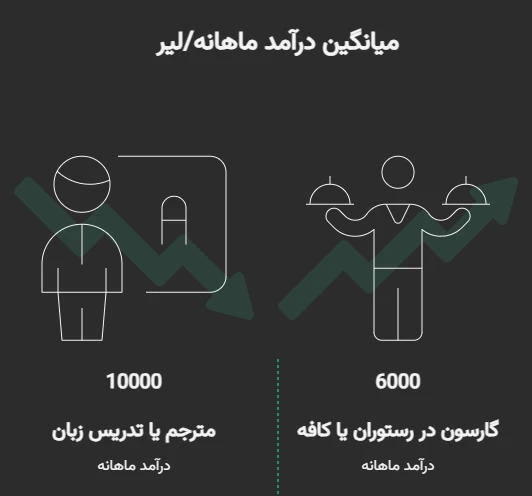 درامد کار دانشجویی در ترکیه