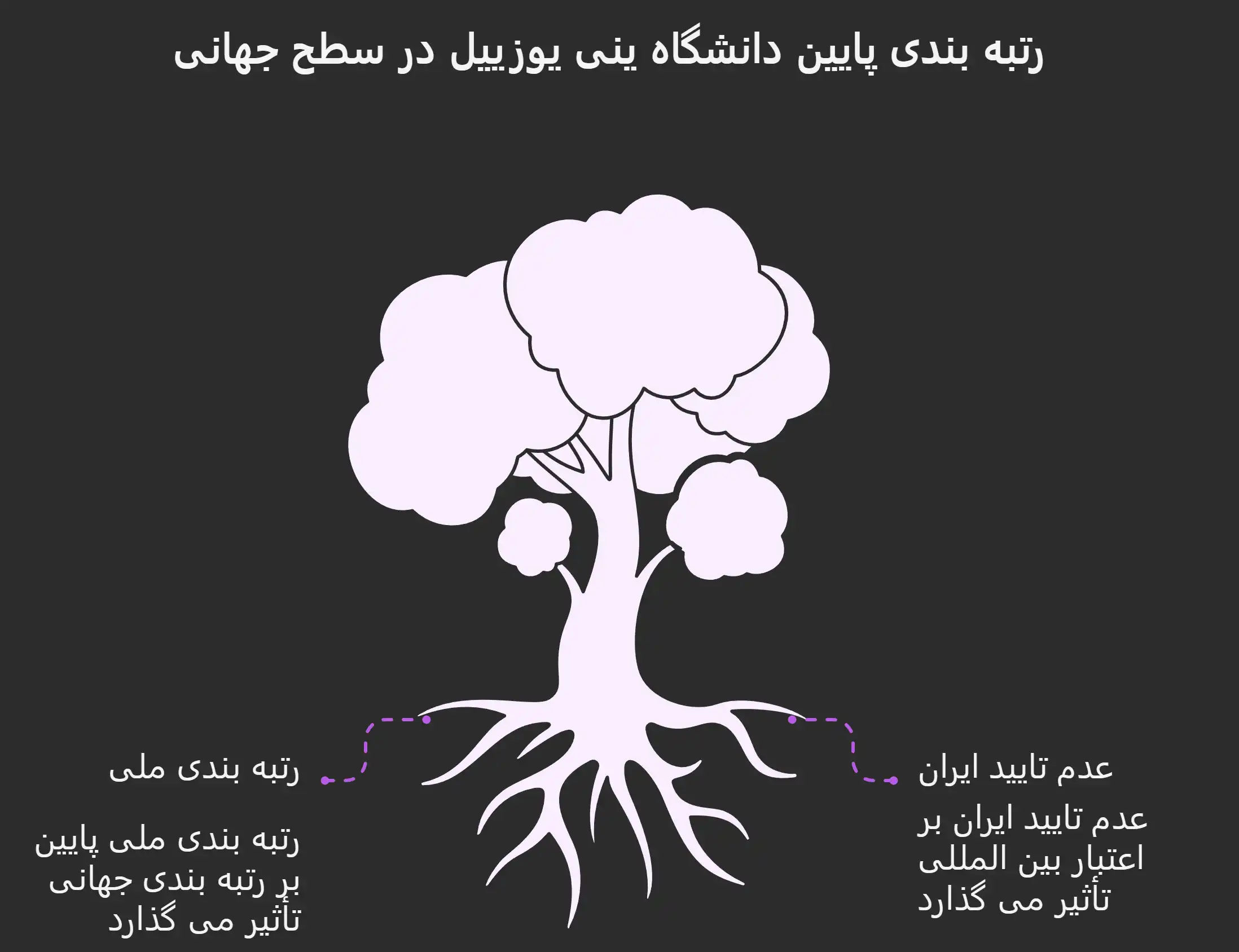 رشته‌های تحصیلی دانشگاه ینی یوزییل