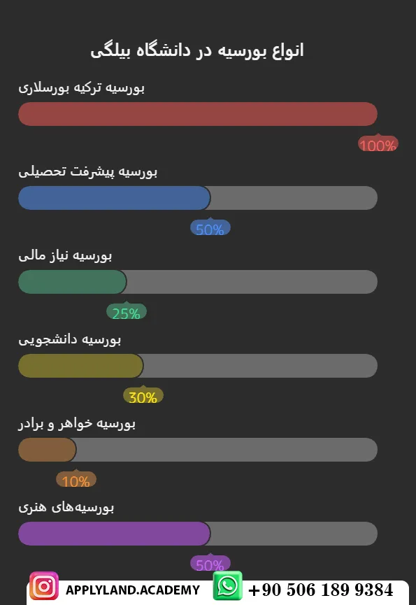 بورسیه تحصیلی دانشگاه بیلگی