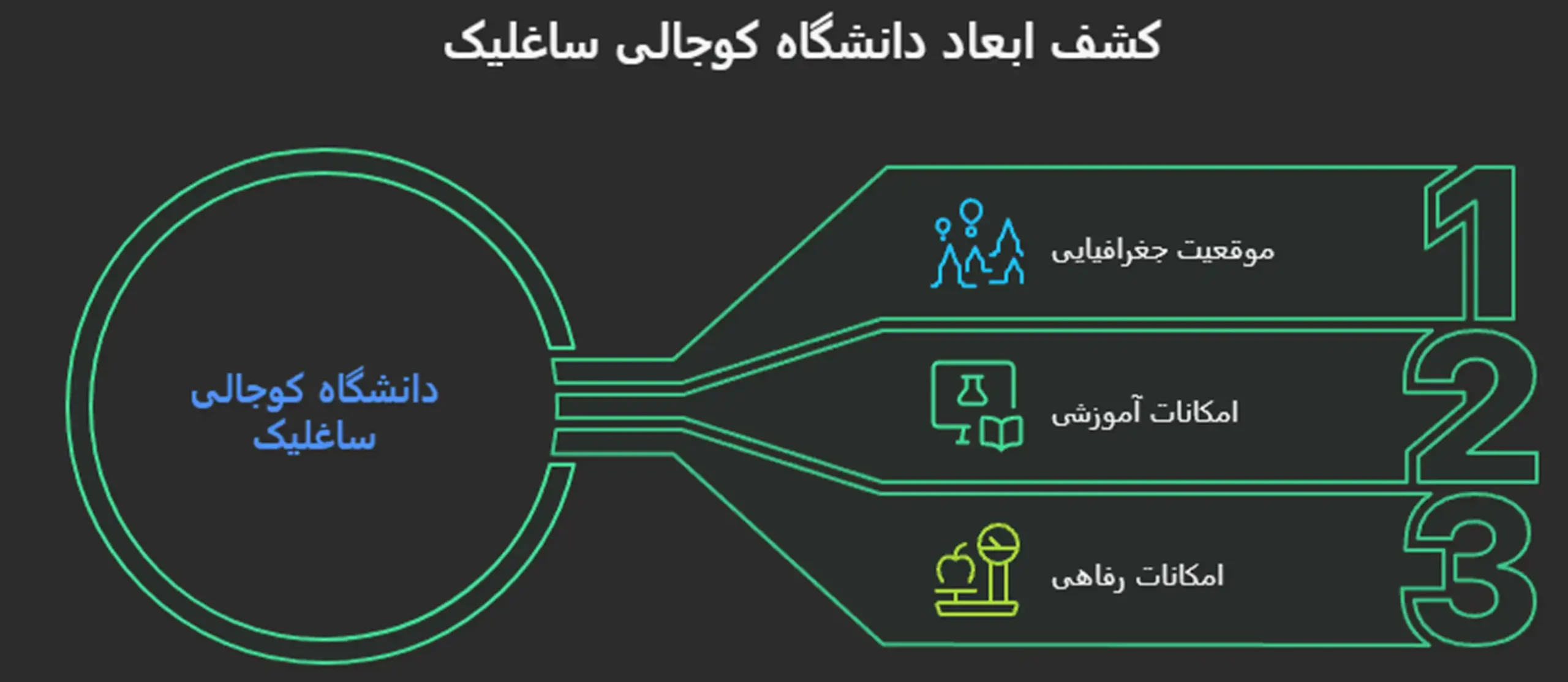 معرفی دانشگاه کوجالی ساغلیک ترکیه