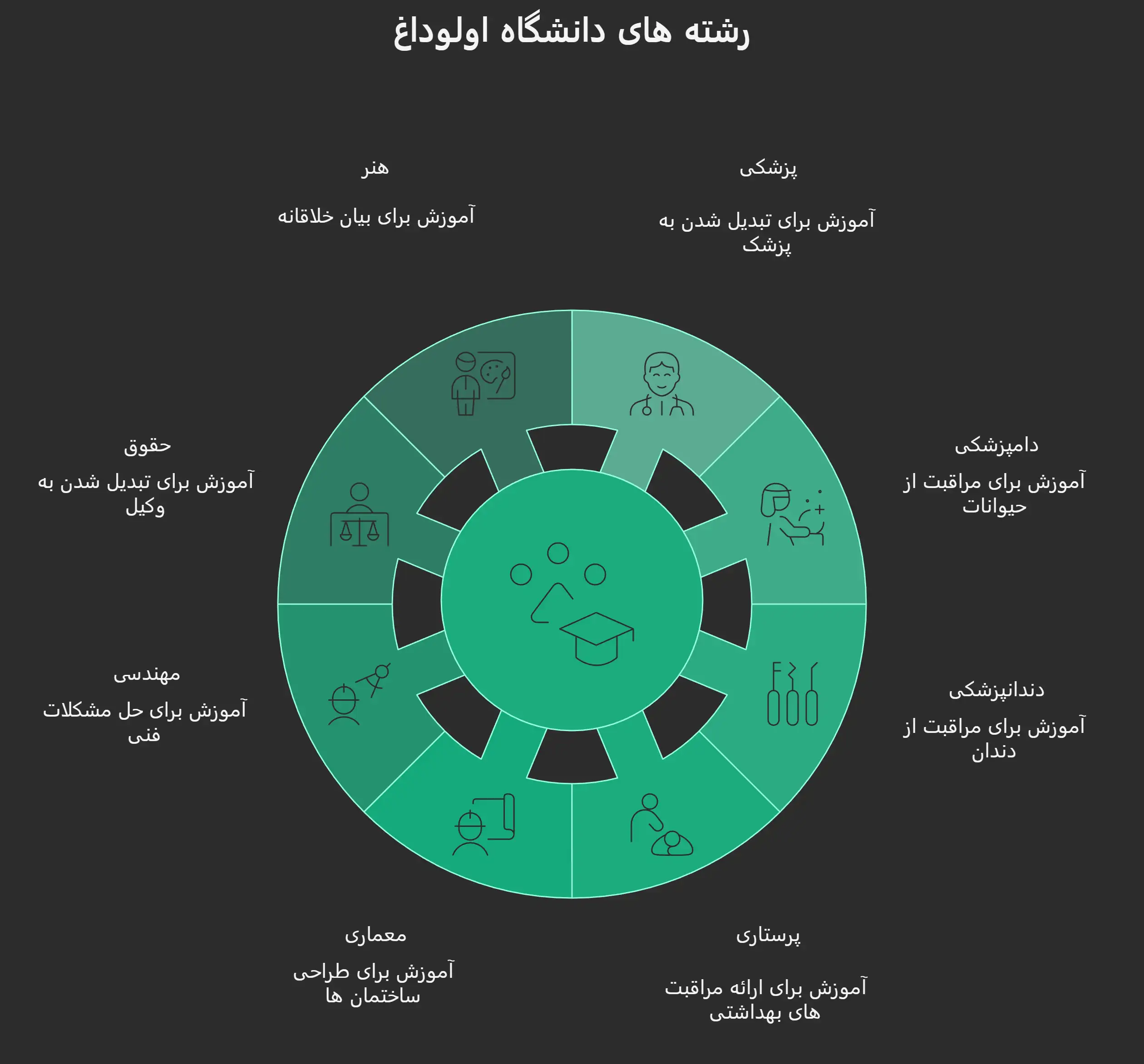 رشته های دانشگاه اولوداغ